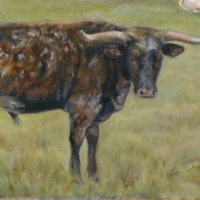 Longhorn Painting by Julie Mason