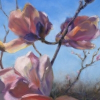 Magnolias